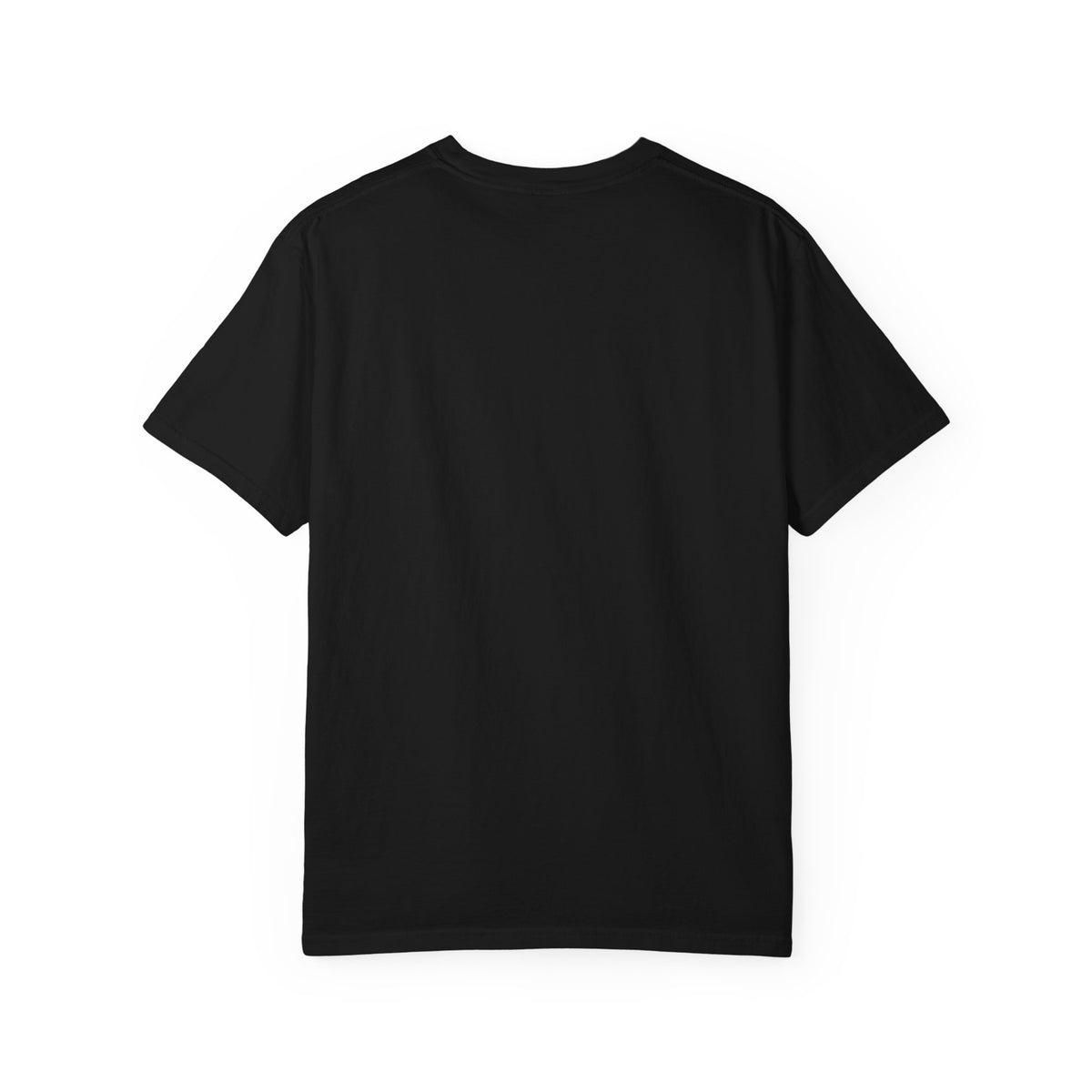 Iron Sharpens Iron T-Shirt