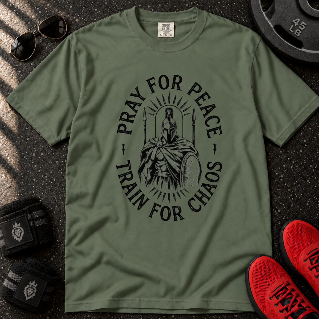 Pray for Peace T-Shirt