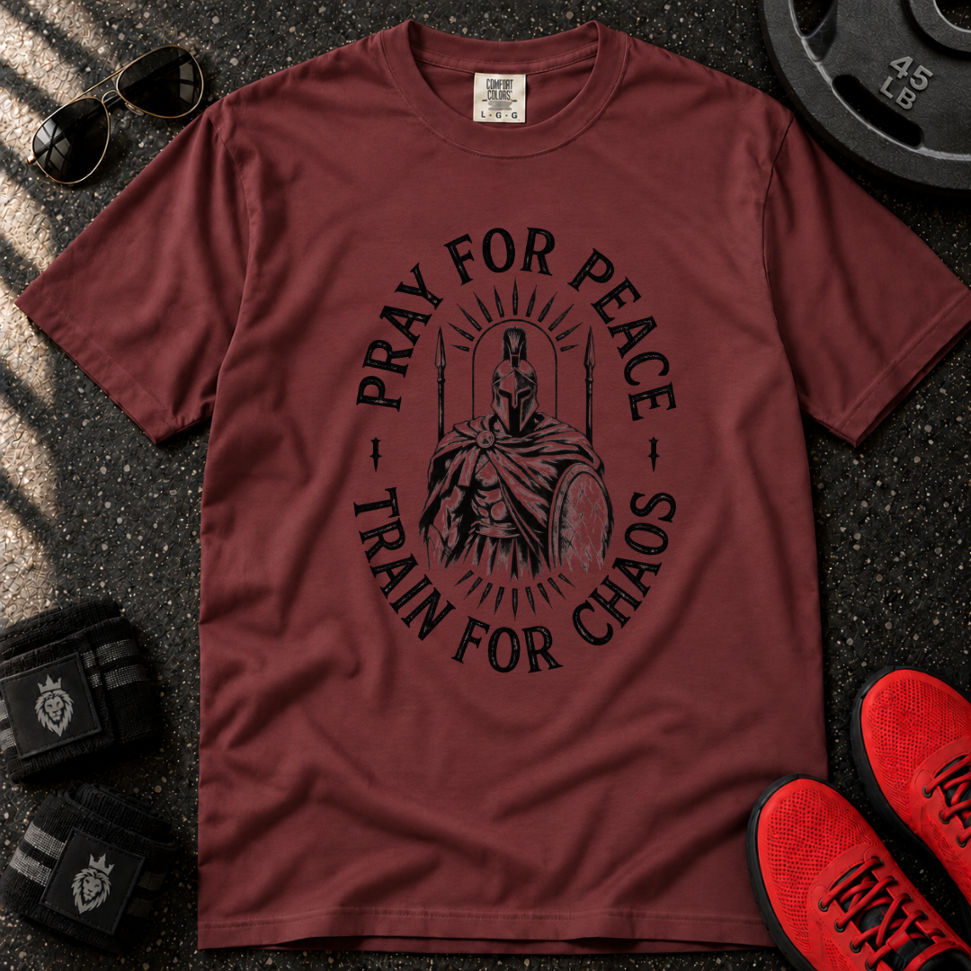 Pray for Peace T-Shirt